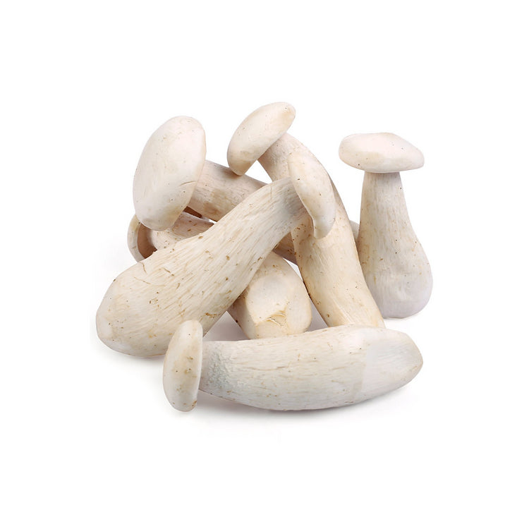 Milky Mushroom (Fresh)